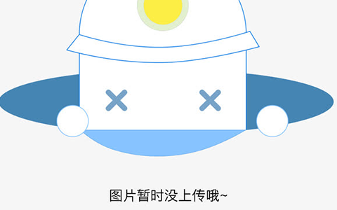 历届世界杯进球平均数 南非世界杯全部进球